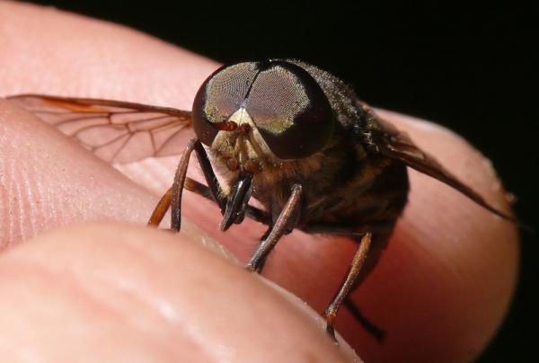 Click to view full image zz230708-20.jpg