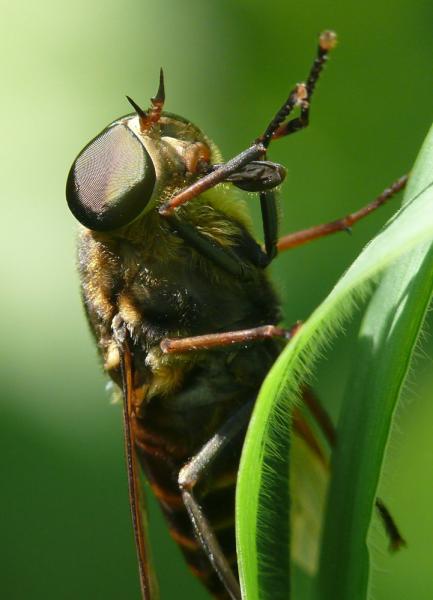 Click to view full image zz250619-006.jpg