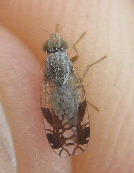 Click to view full image img_7422.jpg