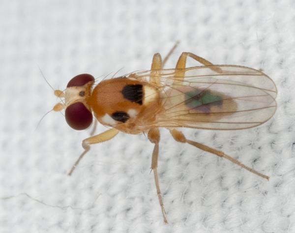 Click to view full image pc191784.jpg